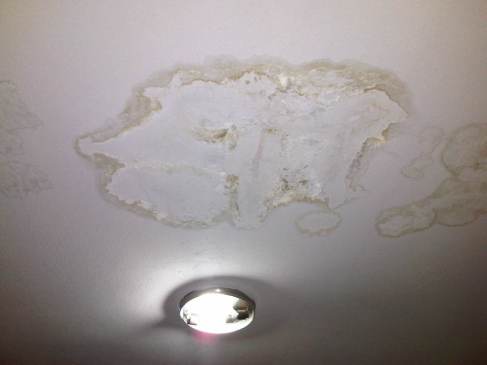 img03237-20130121-2034